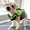 VIVAGLORY Sports Style Dog Life Jacket with Extra Flotation, Adjustable