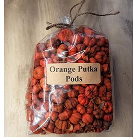 On The Bright Side Mini Orange Putka Pods (Pumpkin Pods) for Potpourri and Bowl Fillers 4 Heaping Cups