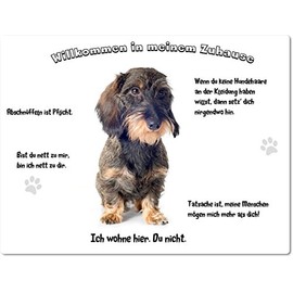 Merchandise for Fans Tin Sign, Warning Sign, Door Sign, Aluminium, 20 x 30 cm, Welcome to My Home, Design: Dachshund Teckel Rauhhaardackel- 16