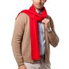 Shubb Men's Scarf, Soft and Warm Cashmere Feel Scarf for