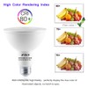 FTL PAR30 LED Bulb 3000K Warm White Long Neck Flood