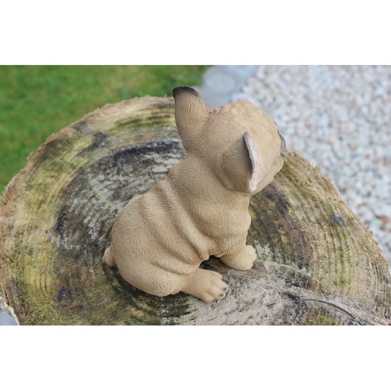 Vivid Arts Small French Bulldog