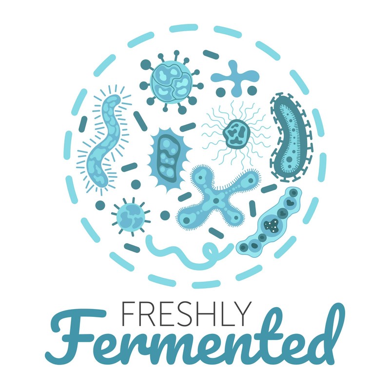 Freshly Fermented - Organic Certified Freeze Dried Yoghurt Culture, Icelandic