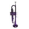 BRLUCKY Home Brass B Flat Trumpet Violet 3-7 Days Delivery