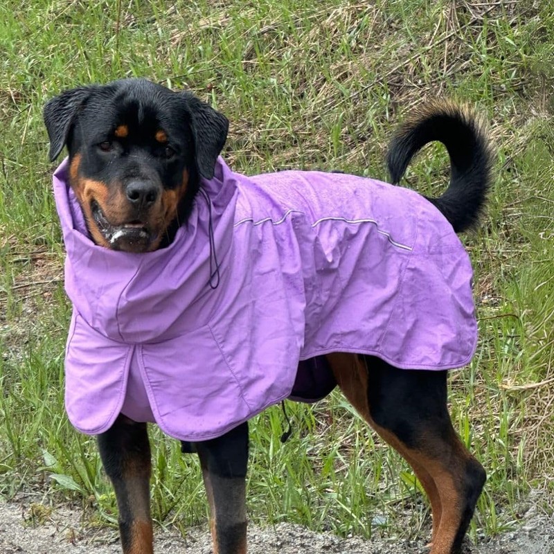 Spark Paws Dog Raincoat, Waterproof Windproof Rain Jacket, for Small