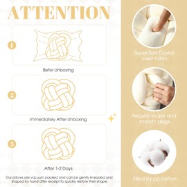 Beeveer 2 Pcs Knot Pillow Balls Set, 12 Inch Soft Decorative Throw Knot Pillow Ball, Large Square Knotted Floor Cushion for Living Room Bedroom Sofa Couch Bed Home Decoration(Beige)