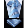 HISDERN Lot 5 PCS Classic Formal Elegant Men's Silk Tie