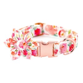 Tunkoo Dog Collar Elegant Floral Bow Tie Unique Style Super Soft Comfy Adjustable Cotton Collar with Premium Metal Buckle, for Puppy and Cat Small Medium Large Pet Supplies（Gouache，Flower, L）