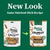 Nutro Crunchy Dog Treats with Real Peanut Butter, 10 oz.