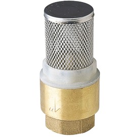 Provence Outillage 02211 with Strainer Filter Brass 1 Inch Gold
