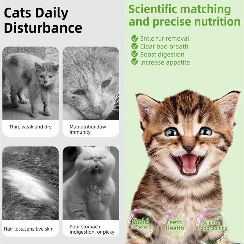 NSWXZDS 6Pcs Cat Toys Cats Grass Treat for Indoor Cat