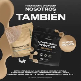 Extracto Hongo Melena De León Orgánico Polvo 100g Adaptogeno Sabor Sin sabor                                                                          