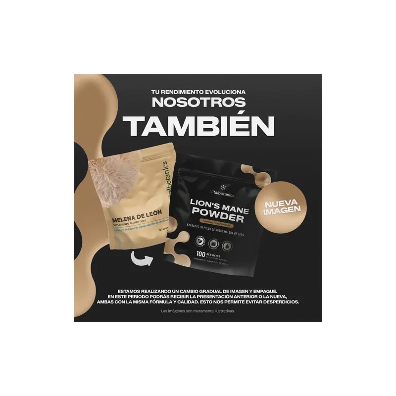 Extracto Hongo Melena De León Orgánico Polvo 100g Adaptogeno Sabor