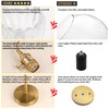 Shenmoyl Battery Operated Wall Sconce with Clear Tulip Shade Pattern