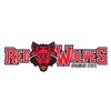 Craftique Arkansas State Indians Decal (RED WOLVES DECAL (4"), 4