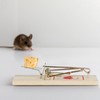 Relaxdays Mouse Traps Set of 40 Classic Mouse Traps Reusable