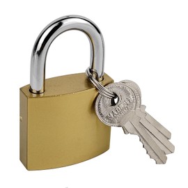 1 Pcs Small Keyed Padlocks, 1.49 Inch (38 mm) Locker Lock with Keys for Luggage Locks Gym Locker Toolbox (1.49Inch)