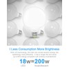 LFLAMPON G120 Globe Light Bulbs 18W, 200W Equivalent Large Globe