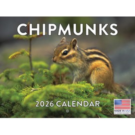 Chipmunk Calendar 2026 Monthly Wall Calender 12 Month | American Made In The USA