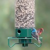 Droll Yankees Squirrel Proof Bird Feeders for Outdoors - YF-M
