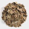 Oherb 국산 말린 연근 건조연근 1kg Korean Dried Lotus Root