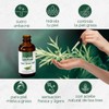 Life180, Tea Tree Suero Facial para control de grasa y