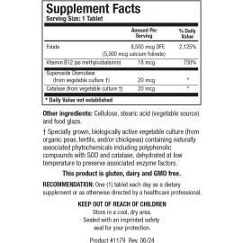 Biotics Research - Folate-5 Plus - with Vitamin B12 (120tabs)