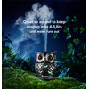 Alieye an Owl Difusor de aroma con luces LED, capacidad