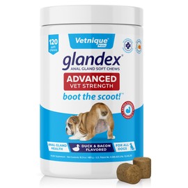 Vetnique Vetnique Labs Glandex Anal Gland Soft Chew Treats with Pumpkin for Dogs Digestive Enzymes, Probiotics Fiber Supplement for Dogs Boot The Scoot (Advanced Strength Duck/Bacon Chews (Vegetarian), 120 Ct)