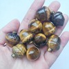 Manekieko 2 Pcs Natural Tiger's Eye Pocket Hazelnut Figurine Decor