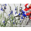 Garden Shears Comfort CFS-2319T Gardening Shears, Sharp, Precise Blades, Thin