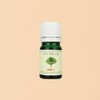 Skinbolic Tea Tree Essential Oil 5ml / 스킨볼릭 티트리 에센셜