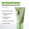 Abib Pore Clay Pack Cleanser Heartleaf Charcoal Foam, 4.05 fl