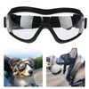 Gafas de Sol para Perro, Transparente, Ajustables | Perros Medianos