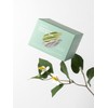 Bonabella Houttuynia cordata fit modeling mask [main product refill] /