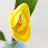 DPI Artificial Tulips Natural Touch in Bunch Height 35 cm