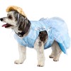 Rubie's Disfraz de Cenicienta para Perros Grandes