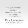 Tan Moisturizing Cream RC (Rice Collection) 2.8 oz (80 g)