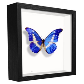 SUNMEG Small Shadow Box Frame 5x5, Wood with Plexiglass, Display Case Box for Memorabilia, Medal, Crafts,Tickets and Photos, Picture Frame for Wall and Tabletop (Black, 5x5)