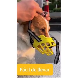 Bozal Para Perro De Entrenamiento Todas Las Tallas