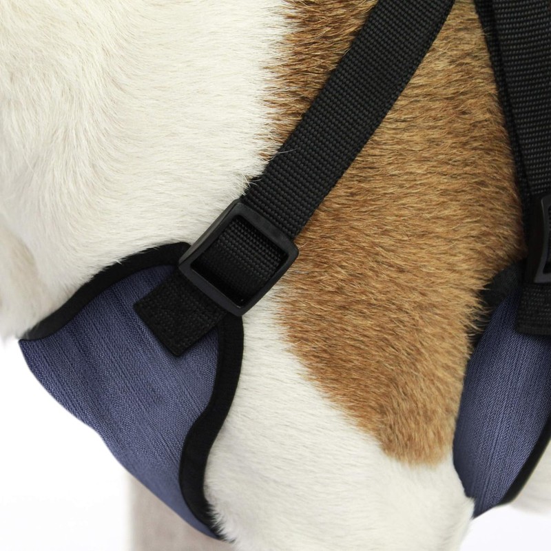 AKC Striped Step-in Dog Harness – No Pull Adjustable Vest