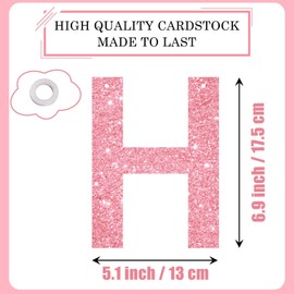 FALIZIFU Pink Happy Birthday Banner Birthday Sign Pink Happy Birthday Decorations for Men Women Birthday Party Supplies Wall Door Banner Flag