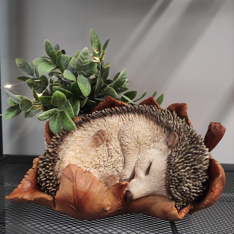 Vivid Arts - Young hedgehog in leaf - XRL-HH09-D