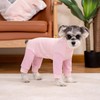 Small Dog Recovery Suit, Stripe Anti-Shedding Dog Pajamas Pjs, After