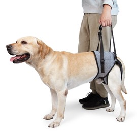 Dotoner Dog Lifting Harness, Dog Support Harness for Rear Legs, Soft Dog Support Loop for Injured Disabled Small, Medium and Large Dogs, Dog Loop for the Rear Legs (Grey, S)