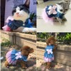 ANIAC Pet Denim Dress with Cute Bow-Knot Comfy Vest Skirt