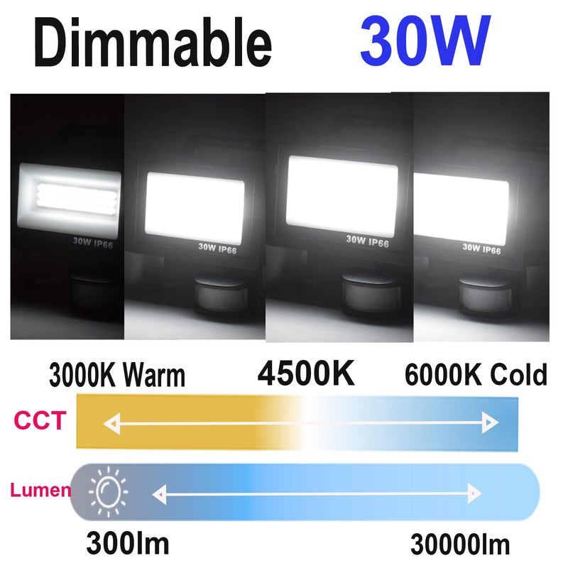 Etrogo 30 W LED Spotlight with Motion Sensor Outdoor Remote