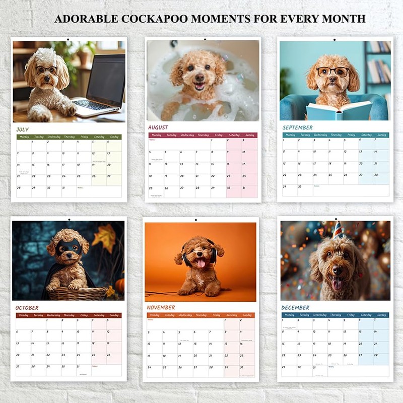 Cockapoo Calendar 2025 12 Month to View A4 2025 Calendar