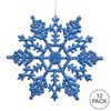 Vickerman Glitter Snowflake Christmas Ornaments with 12 per PVC Box,