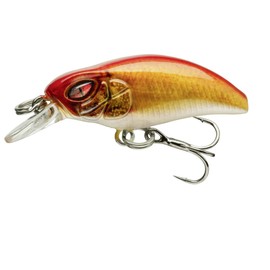 Daiwa PROREX Micro Minnow Lure - 3cm 1.5g Live Orange Bleak